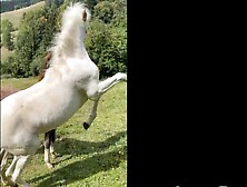 Tiny Teenagers Banged! Outdoor By A Big Dick - Mini