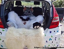 Fluffy car with fun