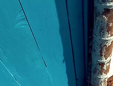 I wanted a puppy and I told him that I