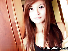 Ladyboygold Video: First Time Femboy