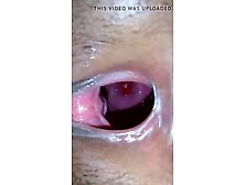 Vagina Close up (inside view of pussy)