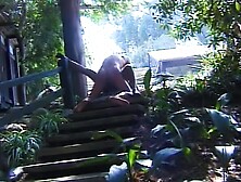 Dark haired babe with an amazing body gets her hairy twat pounded