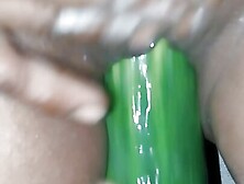 Bhabhi ne apni chut me Mota khira dalwaya