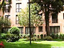 busty latina Maria Jose rammed by her new friend