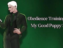 Obedience Training for My Good Puppy Bitch