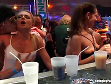 DRUNKSEXORGY - Club bitches suck and screw
