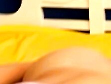 S Aviv Paradise Fiesta 2 Wild Nights in Amsterdam