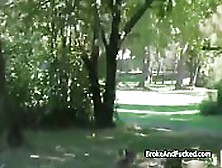 Park Blowjob On A Sunny Day