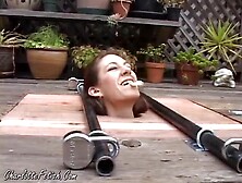 Relaxing In The Backyard