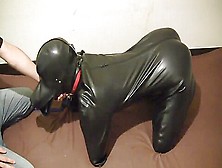 Japanese Latex Doggy