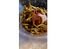 1St Time Mealworm Surprise