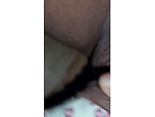 Maggots eating balls part 8