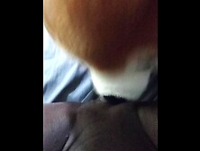 Teddy Bear swallows my vagina???? Throbbing Clit ????????