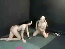 Cornered Catfight 7