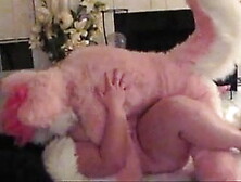 Pink Husky Fucks Bbw Til He Cums