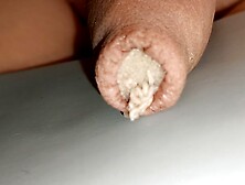 Larvae In The Cock