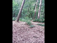 An Older Public Outdoor Woods Exhibitionist Jerking Sexshow With Cumshot