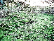 The Sexual Adventures of ALMOND Vol. 1 - Episode 6