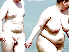 Bbw Nude Beach Voyeur