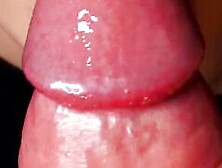 Best Hot Blowjob That Makes Everyone Cum