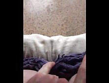 Masturbates And Anal Fingering On My Basement Couch While Watching Family Dude