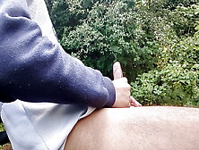 Stroking On Park Bench