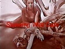 CCC - Stunning Wild Cats