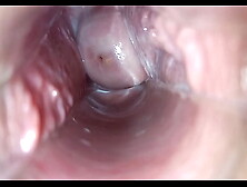 vaginal orgasm