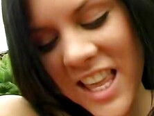 Isabels Seed of Discord A Hung Bulldozers Reckless Rainbow Rodeo