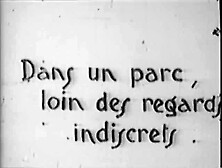 Dans Un Parc
