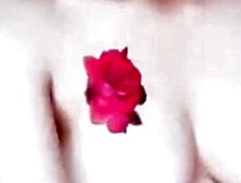 Bokep Indo Miss Nana Crot Depan Kamera