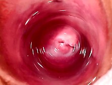 Web camera deep inside Mia's tight creamy vagina