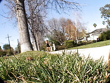 Aubrey Addams: Multiple Dicks for the Perfect Cumming