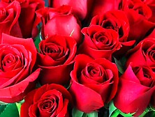 Bangla choti golpo hot sexy Madam fuck with her student in bedroom