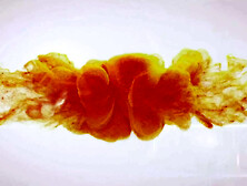 Pissy Arousal by Wet And Pissy