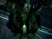 Warframe Set Of