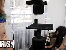 Mofos - Curvy Electra Rayne Finger Bang Tatted Reina Ryder's Tight Vagina Before Eating Her Out