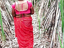 My Step Mother And Me Sugarcane Field Me Desi Village Video Samastar.  Com