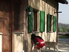 Beautiful Witches in Heat (Full Movie)