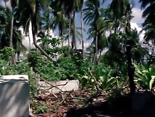 EROTIC NIGHT OF THE LIVING DEAD