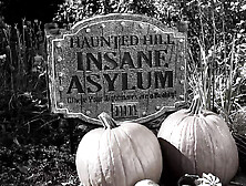 Alice in Wasteland Part 1