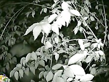 Cute Coquette Taking A Piss In The Bushes On Cam