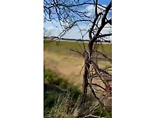 Pregnant and fucking a tow ball