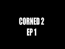 Cornered: Hairy Pussy And Ass Fucking