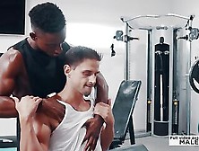 Interracial Gay Porn As It's Finest