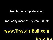 Ass Fingered Trystan Bull