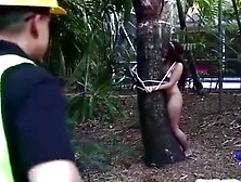 Voluptuous and skinny Jaye Austin gets hammered by lumberjack