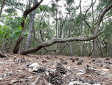 That adrenaline rush while masturbating