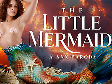 The Little Mermaid A Xxx Parody