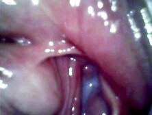 Vagina close up.  HD full movie